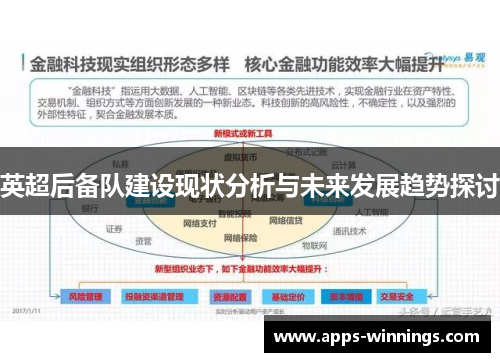 英超后备队建设现状分析与未来发展趋势探讨