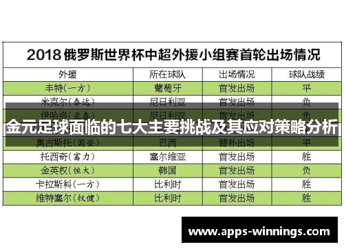 金元足球面临的七大主要挑战及其应对策略分析